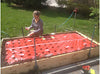 Home Garden Products for Vegetable and Flower Gardens