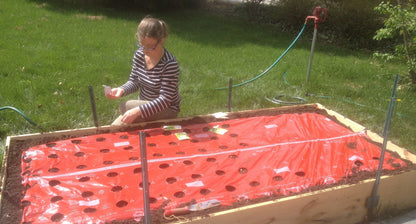 Home Garden - Plastic Mulch &amp; Drip Irrigation System For Raised Beds And Home Gardens: Starter Systems